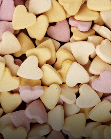 動(dòng)物營(yíng)養(yǎng)