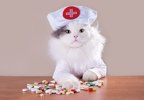 獸藥粉碎機(jī)